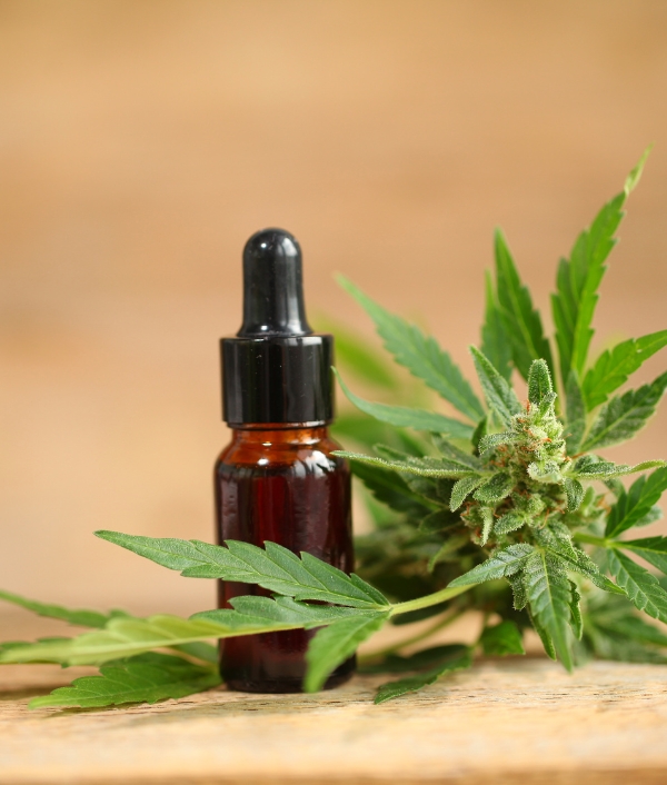 © Canva CBD bei Hunden von Sonn'werk Bio-Cannabits