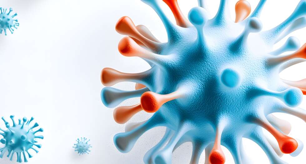 Grippevirus H3N2(K) 2025 in Österreich