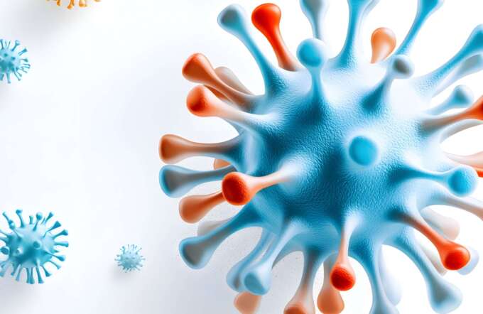 Grippevirus H3N2(K) 2025 in Österreich