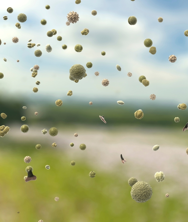 © Canva Allergiesaison 2026