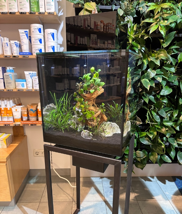 Design-Aquarium von LIVECUBE