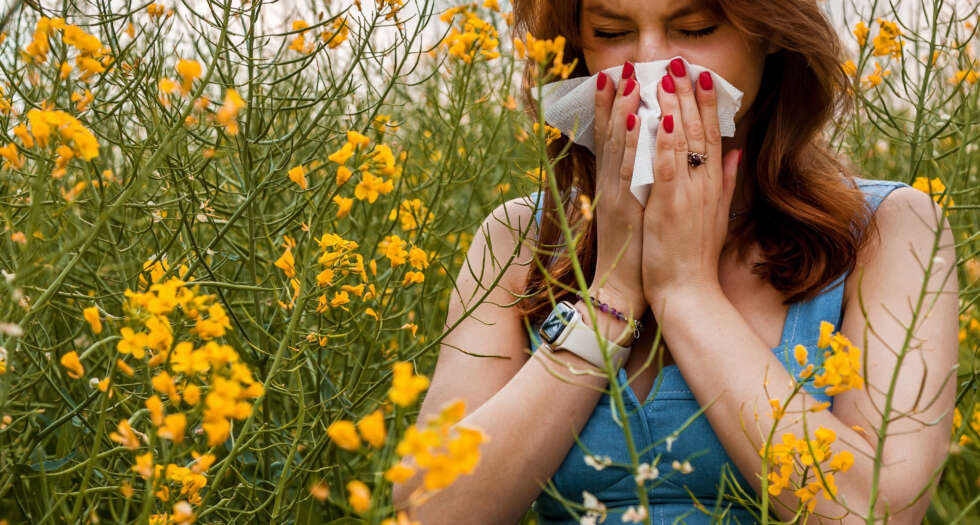 Allergiesaison und Pollenflug in Wien und Österreich