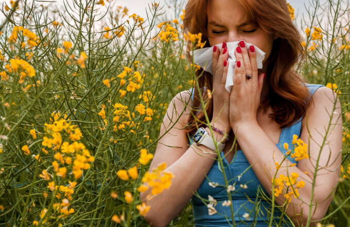 Allergiesaison und Pollenflug in Wien und Österreich