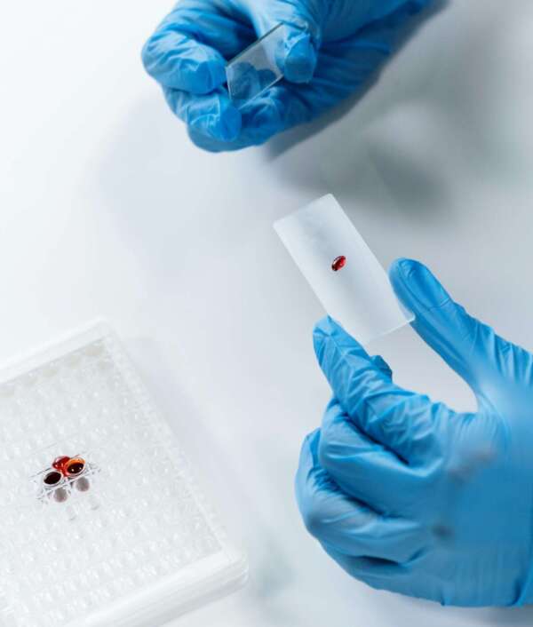 std-bluttest std-bluttest