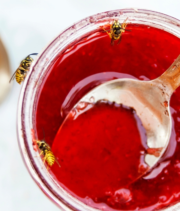Bienenstich_Wespenstich_Hornissenstich Bienenstich Wespenstich Hornissenstich